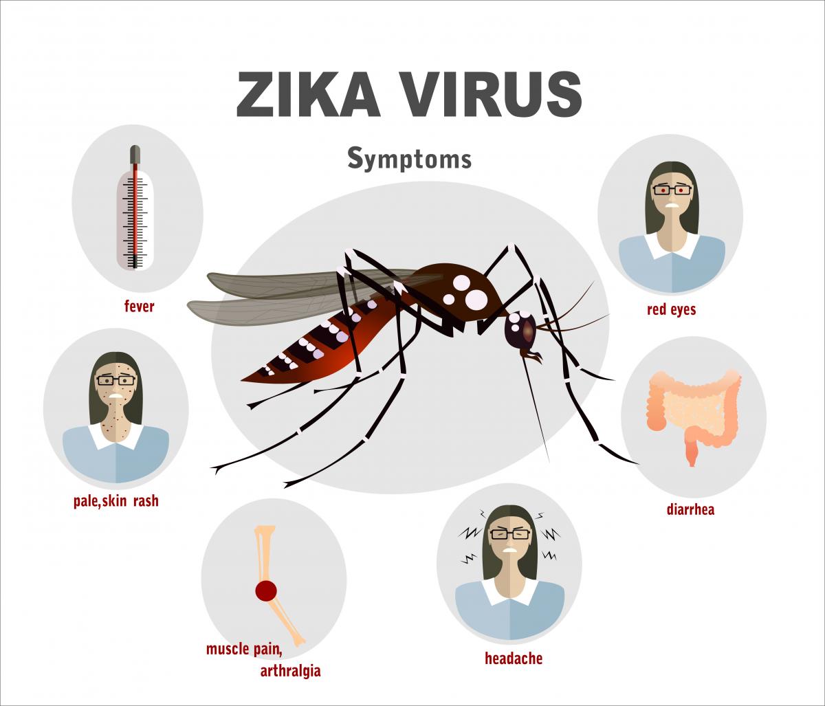 About Zika Virus Disease 9jahealth 